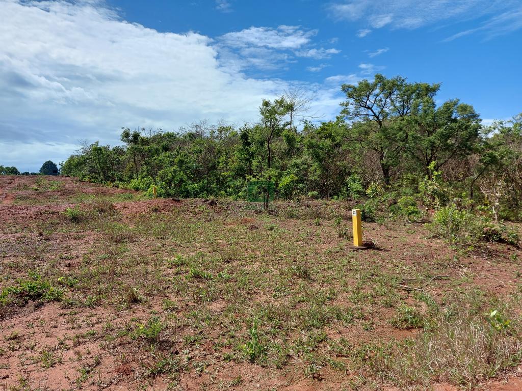 Fazenda à venda com 1 quarto, 20000m² - Foto 6