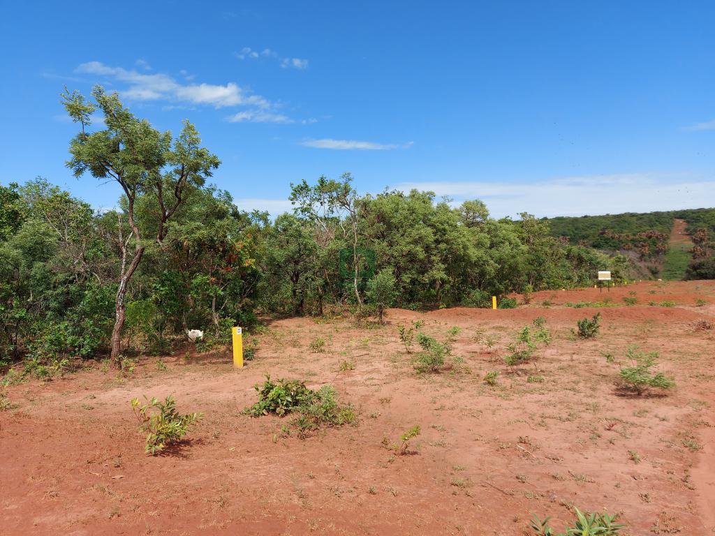 Fazenda à venda com 1 quarto, 20000m² - Foto 7