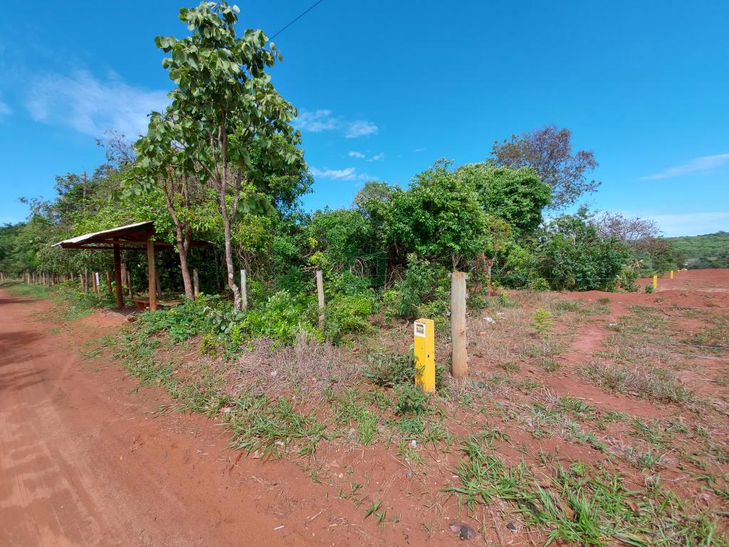 Fazenda à venda com 1 quarto, 20000m² - Foto 8