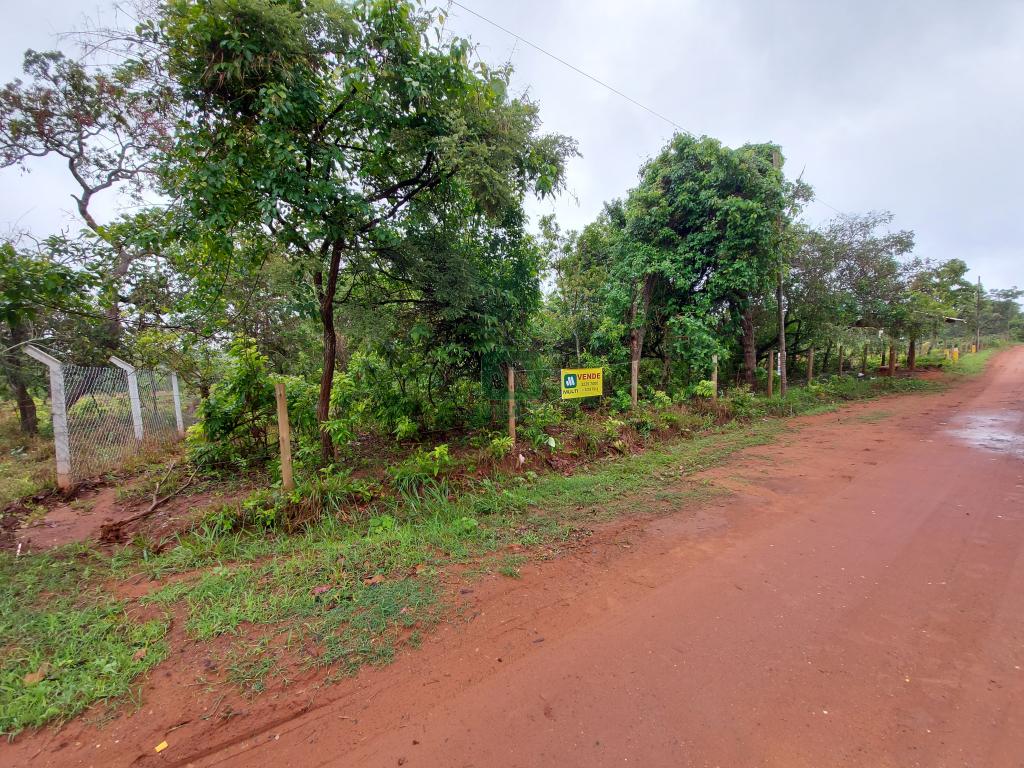 Fazenda à venda com 1 quarto, 20000m² - Foto 10