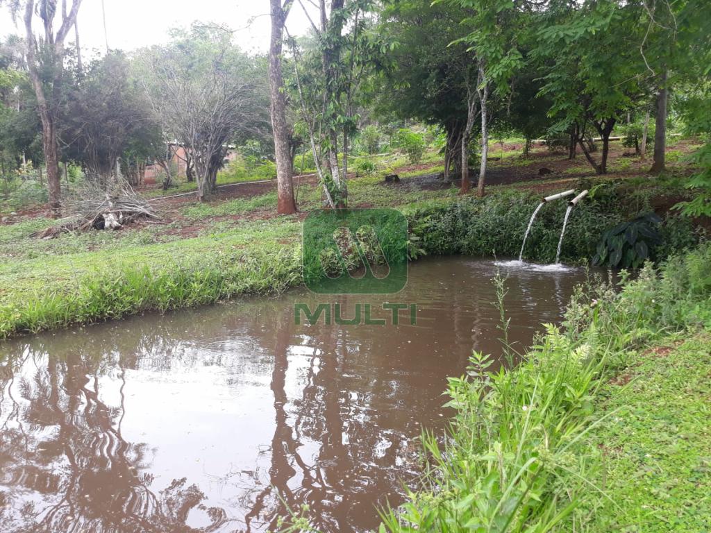 Fazenda à venda com 3 quartos, 300m² - Foto 6