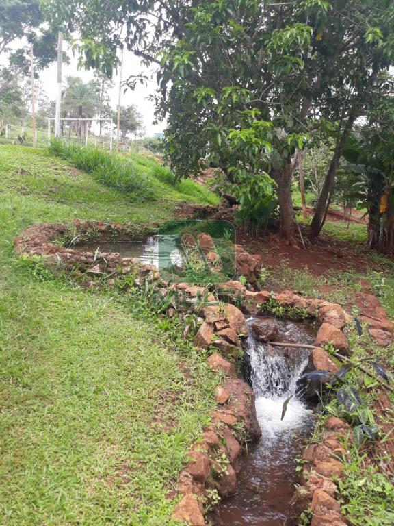 Fazenda à venda com 3 quartos, 300m² - Foto 7