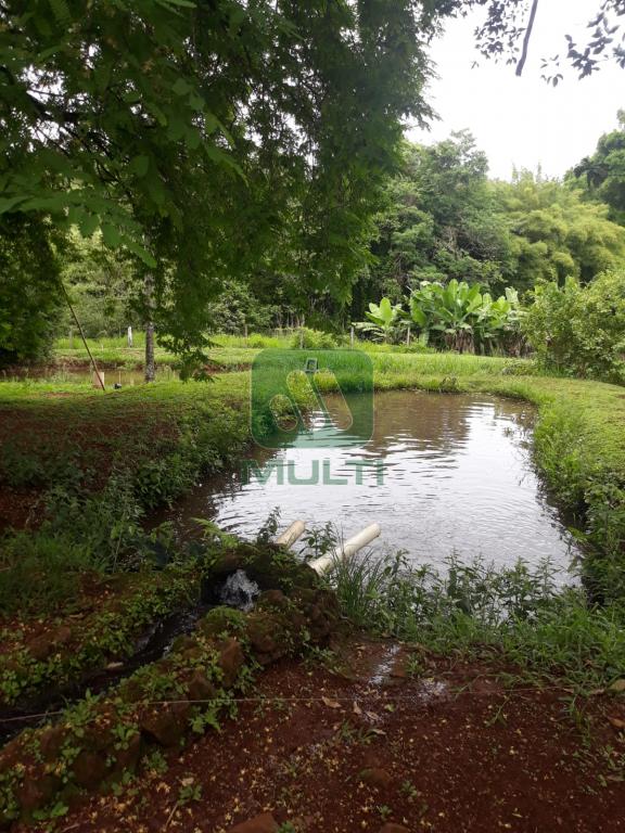 Fazenda à venda com 3 quartos, 300m² - Foto 8