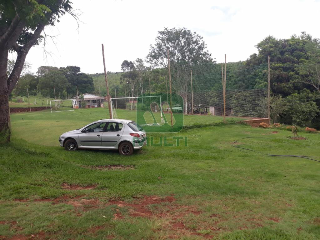 Fazenda à venda com 3 quartos, 300m² - Foto 9