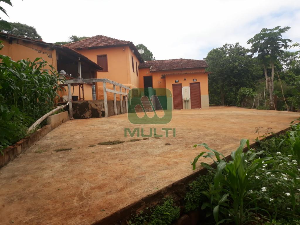 Fazenda à venda com 3 quartos, 300m² - Foto 10