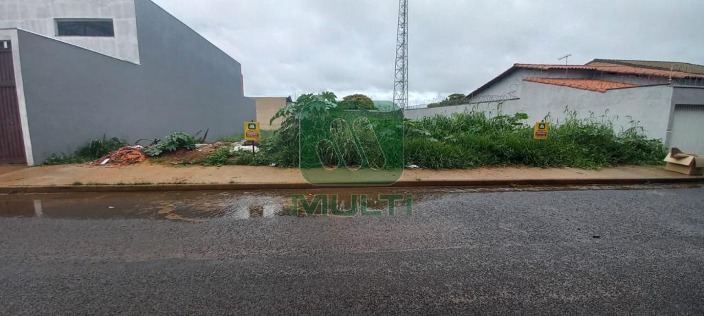 Terreno à venda com 1 quarto, 300m² - Foto 1