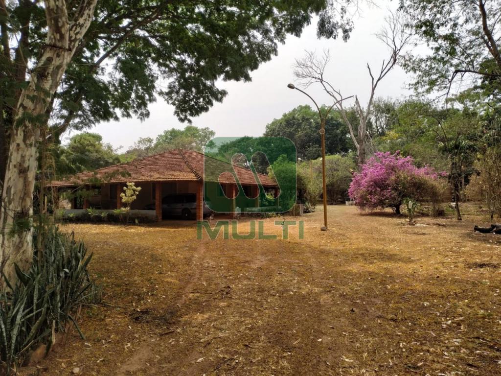 Fazenda à venda com 3 quartos, 374m² - Foto 6