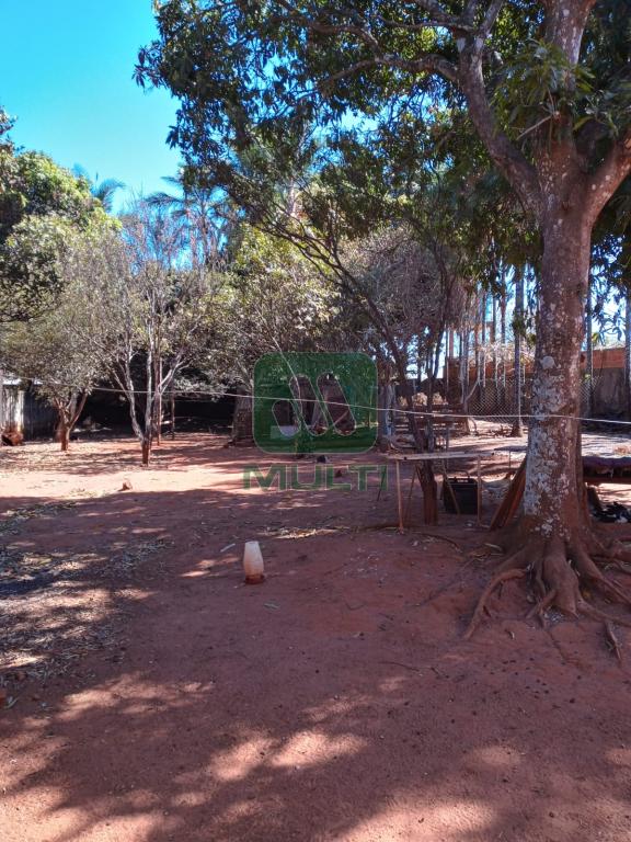 Fazenda à venda com 4 quartos, 180m² - Foto 2