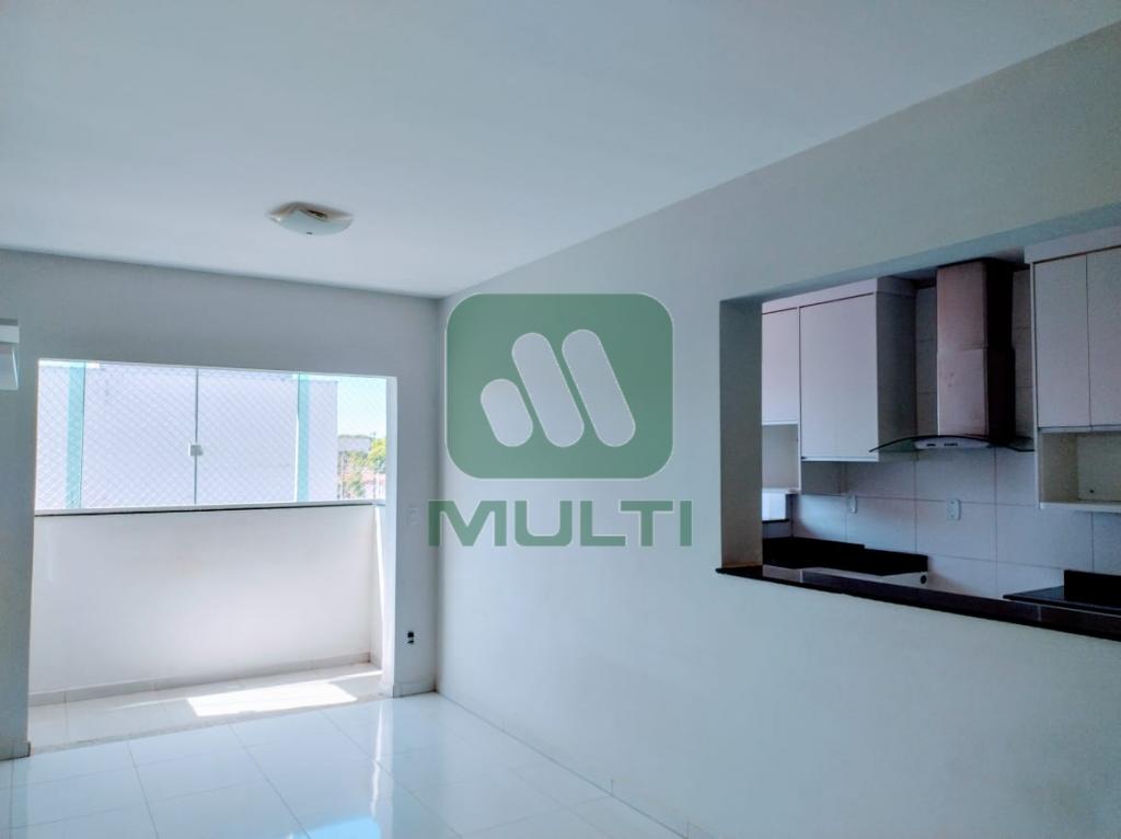 Apartamento à venda com 2 quartos, 70m² - Foto 3