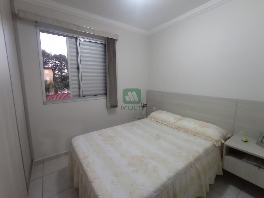 Apartamento à venda com 2 quartos, 53m² - Foto 13