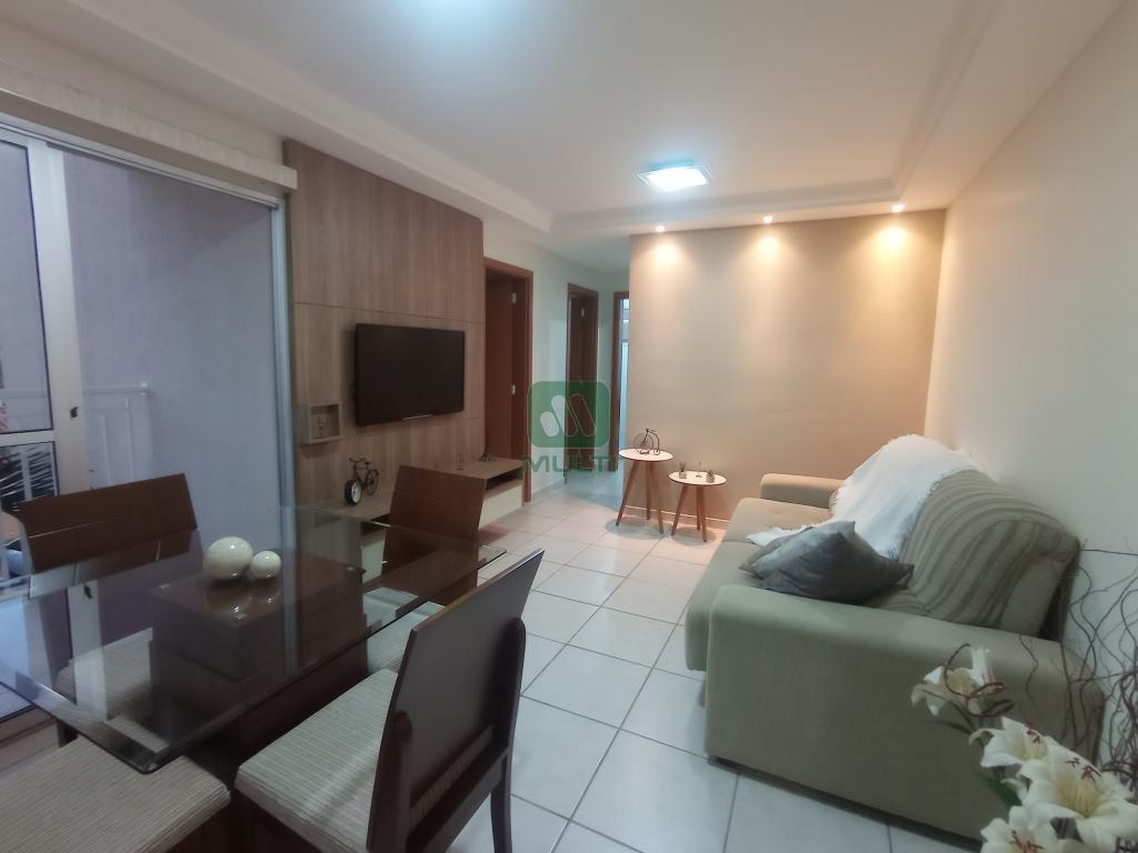 Apartamento à venda com 2 quartos, 53m² - Foto 15