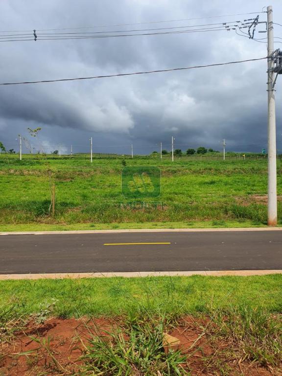 Terreno à venda com 1 quarto, 300m² - Foto 3