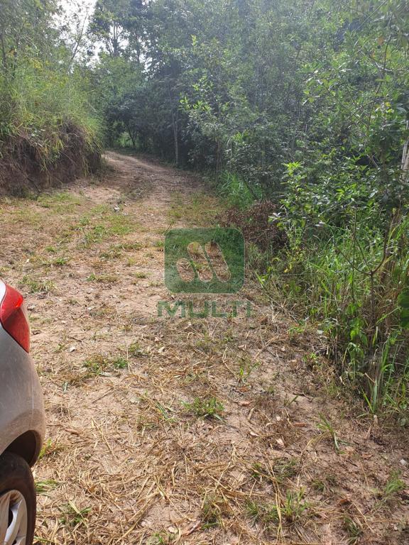 Fazenda à venda com 5 quartos, 500m² - Foto 3