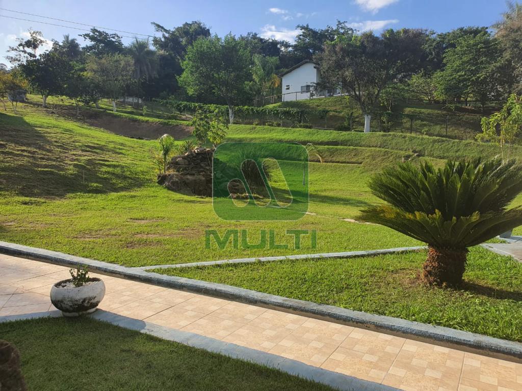 Fazenda à venda com 5 quartos, 500m² - Foto 33