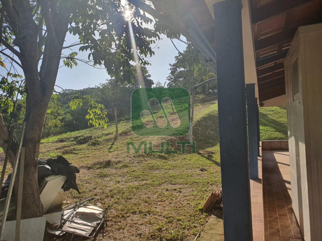 Fazenda à venda com 5 quartos, 500m² - Foto 34