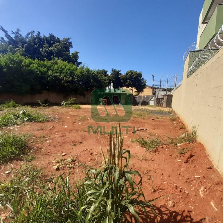 Terreno à venda com 1 quarto, 520m² - Foto 2