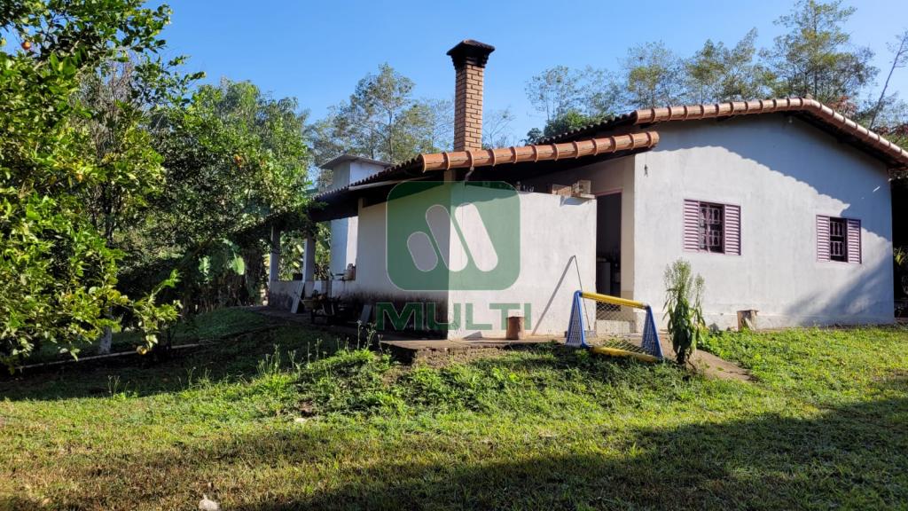 Fazenda à venda com 2 quartos, 150m² - Foto 6