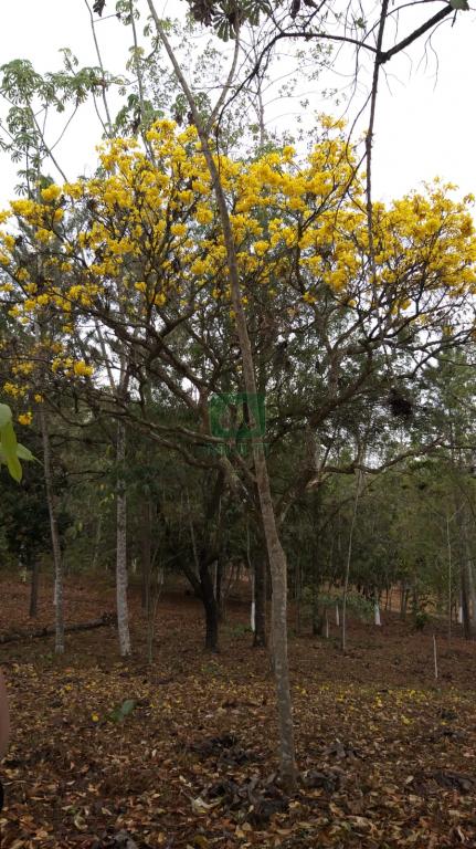 Fazenda à venda com 2 quartos, 150m² - Foto 14