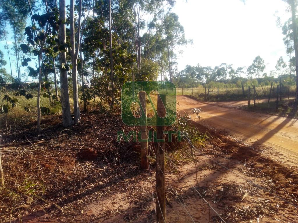 Fazenda à venda com 2 quartos, 150m² - Foto 4