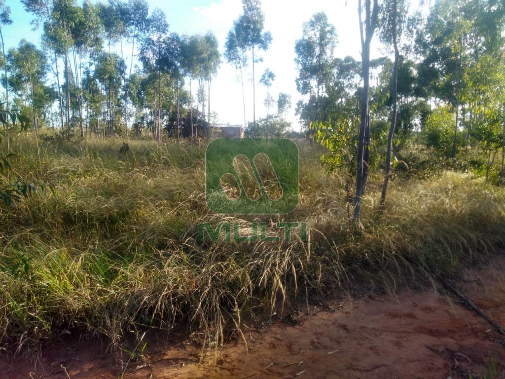 Fazenda à venda com 2 quartos, 150m² - Foto 7