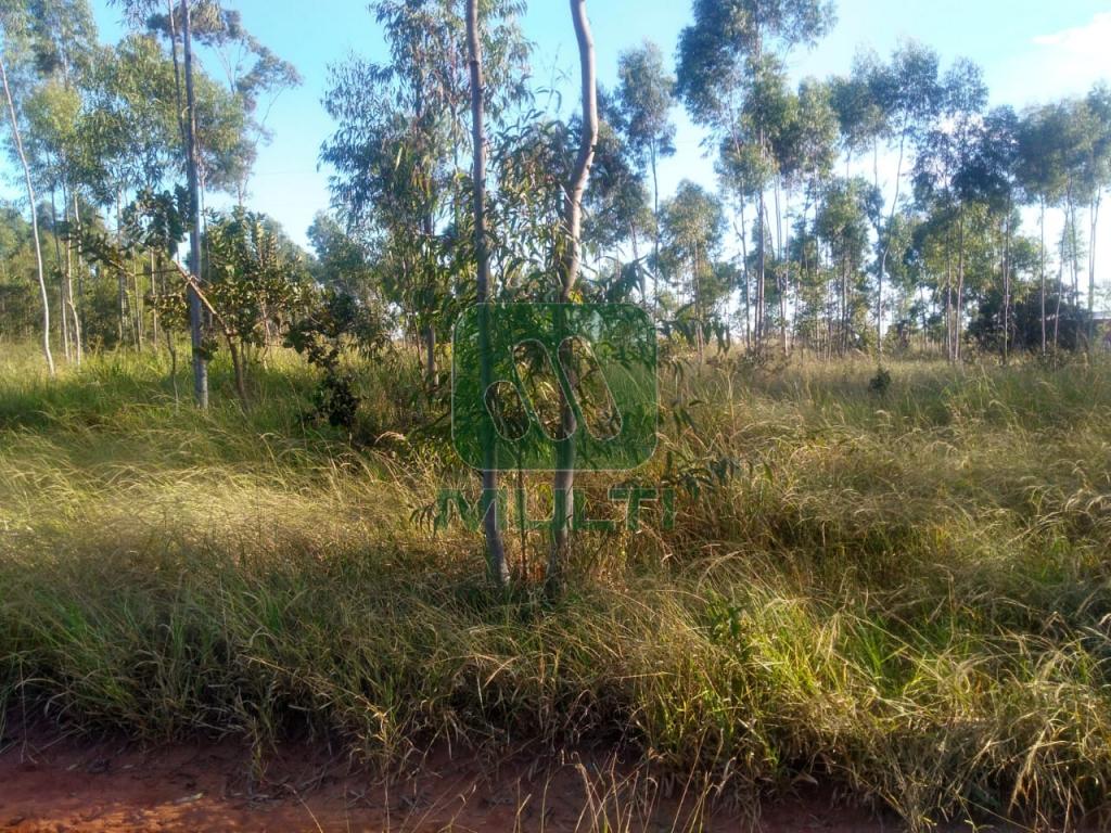 Fazenda à venda com 2 quartos, 150m² - Foto 8