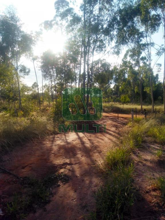 Fazenda à venda com 2 quartos, 150m² - Foto 11