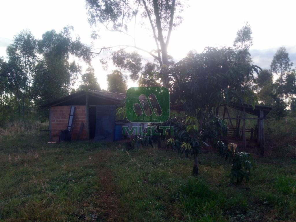 Fazenda à venda com 2 quartos, 150m² - Foto 16