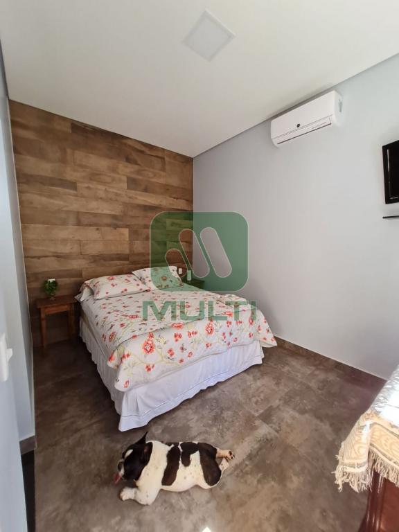 Fazenda à venda com 2 quartos, 650m² - Foto 18