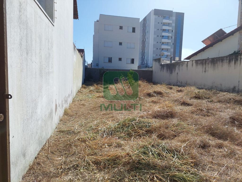 Terreno à venda com 1 quarto, 360m² - Foto 2