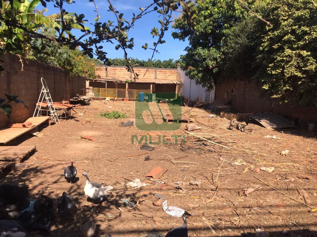 Terreno à venda com 1 quarto, 300m² - Foto 4