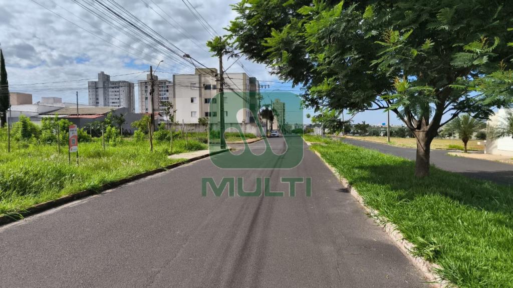 Terreno à venda com 1 quarto, 250m² - Foto 4