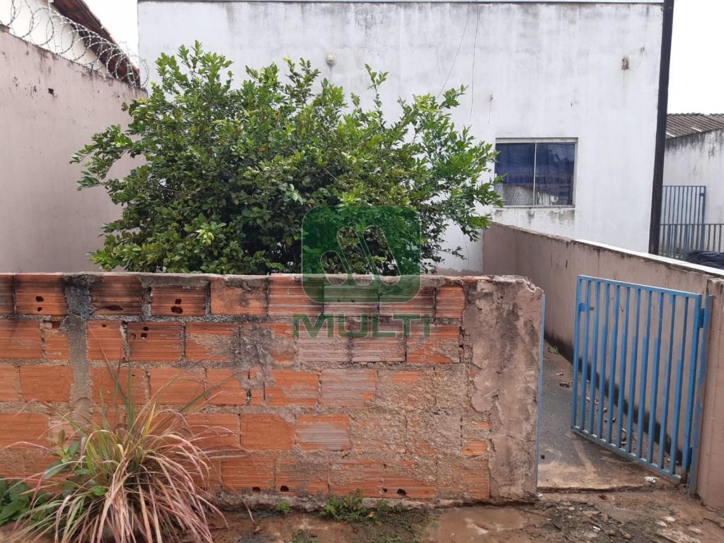 Casa à venda com 3 quartos, 115m² - Foto 14