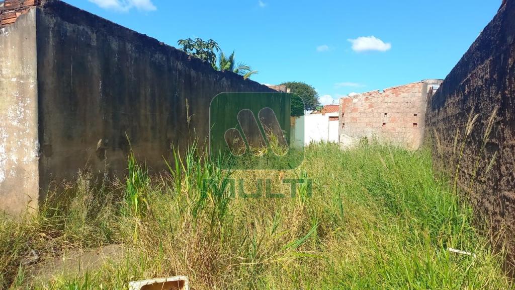 Terreno à venda com 1 quarto, 300m² - Foto 2