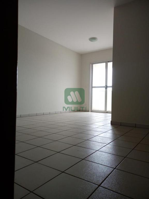 Apartamento à venda com 3 quartos, 83m² - Foto 14