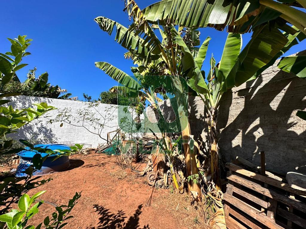 Fazenda à venda com 3 quartos, 270m² - Foto 1