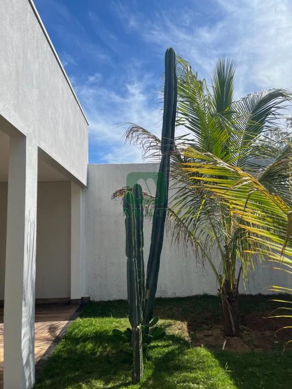 Fazenda à venda com 3 quartos, 270m² - Foto 6