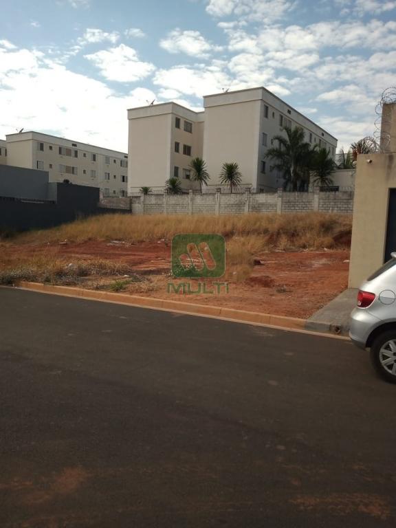 Terreno à venda com 1 quarto, 250m² - Foto 2