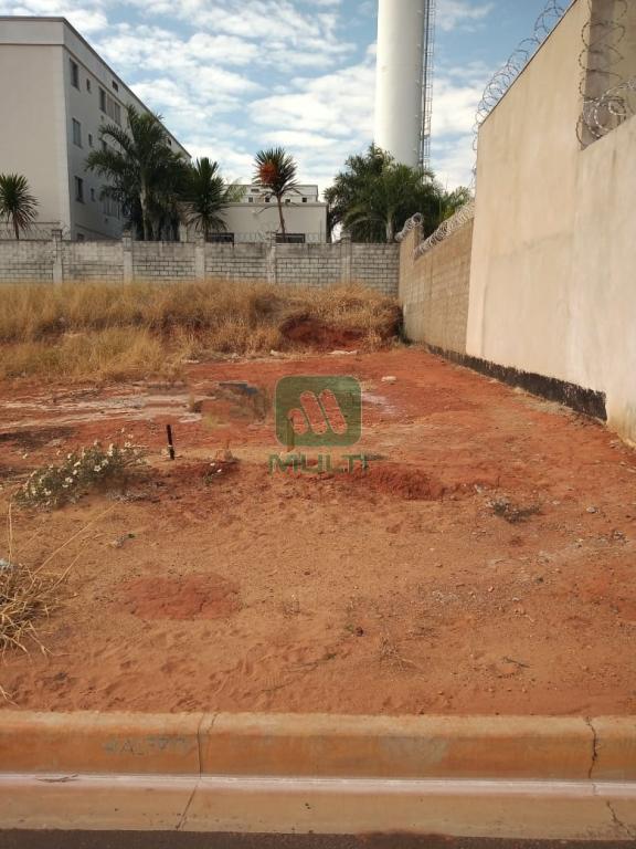 Terreno à venda com 1 quarto, 250m² - Foto 3