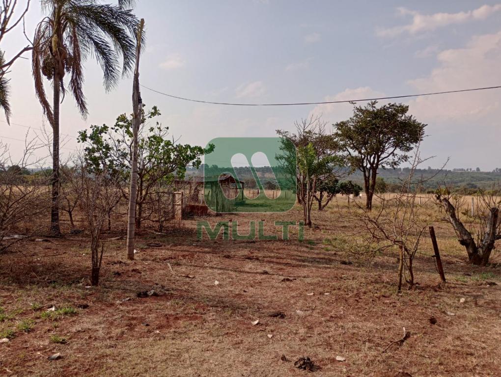 Fazenda à venda com 1 quarto, 182800m² - Foto 4