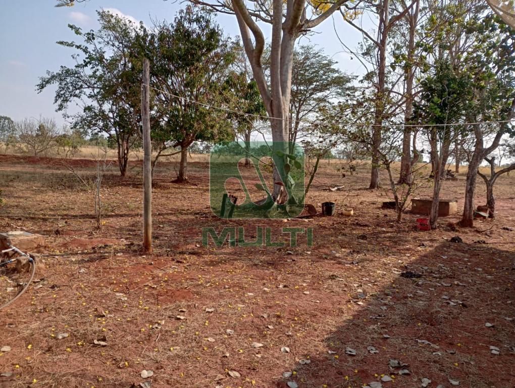 Fazenda à venda com 1 quarto, 182800m² - Foto 22