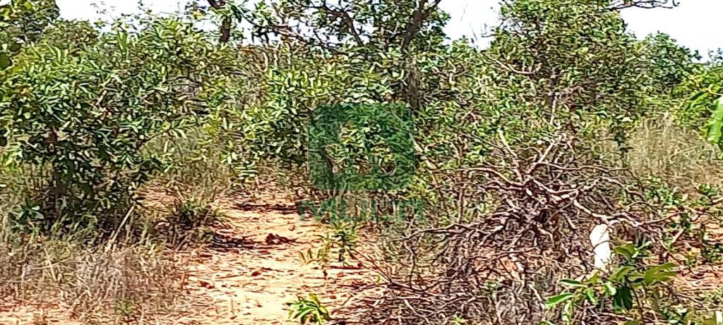 Fazenda à venda com 1 quarto, 1000m² - Foto 2