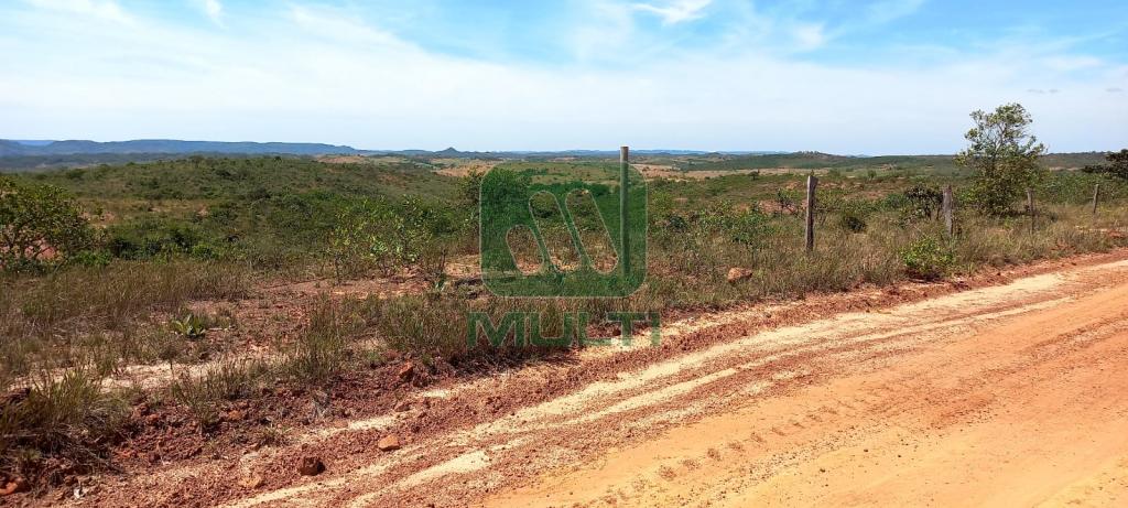 Fazenda à venda com 1 quarto, 1000m² - Foto 6