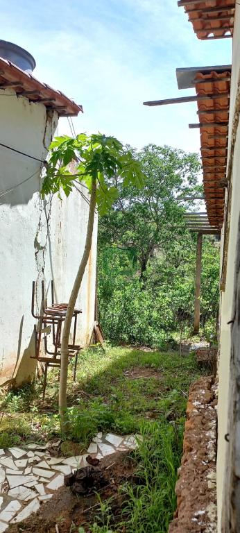 Fazenda à venda com 1 quarto, 1000m² - Foto 7