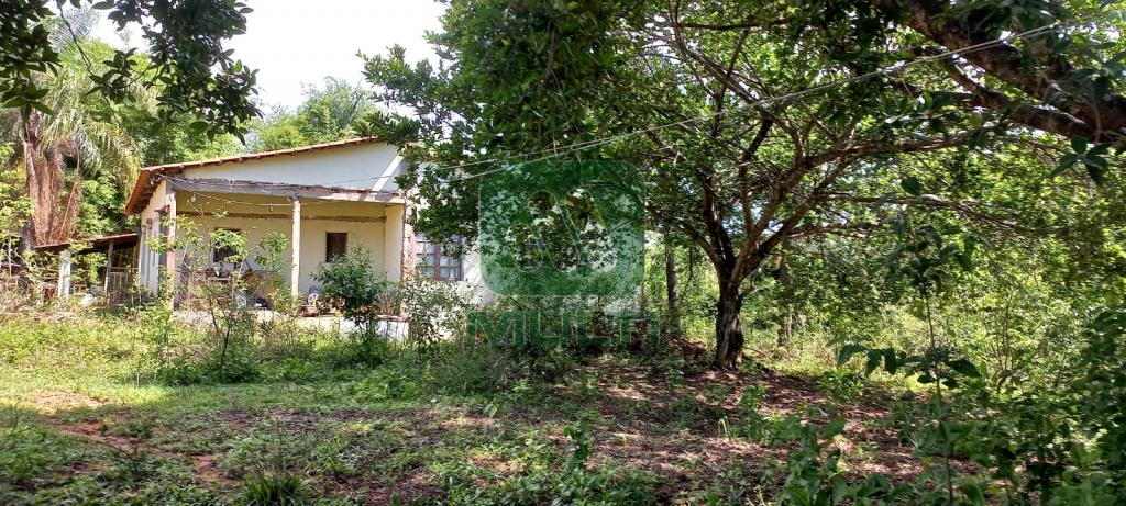 Fazenda à venda com 1 quarto, 1000m² - Foto 20