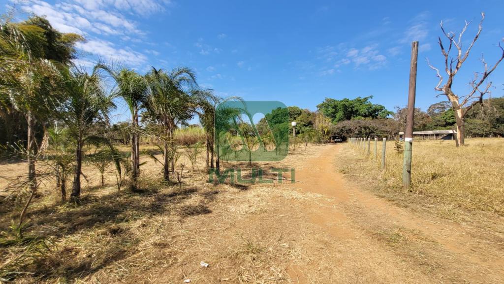 Fazenda à venda com 1 quarto, 10000m² - Foto 3