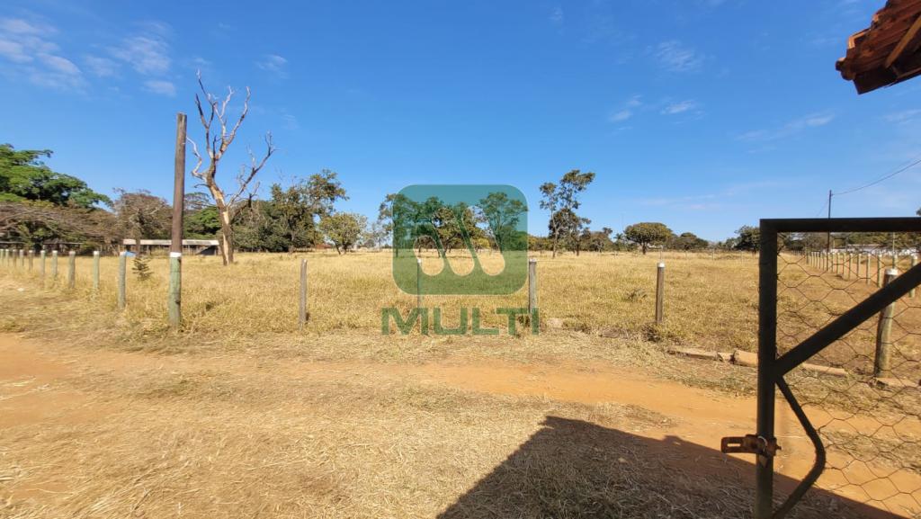 Fazenda à venda com 1 quarto, 10000m² - Foto 4