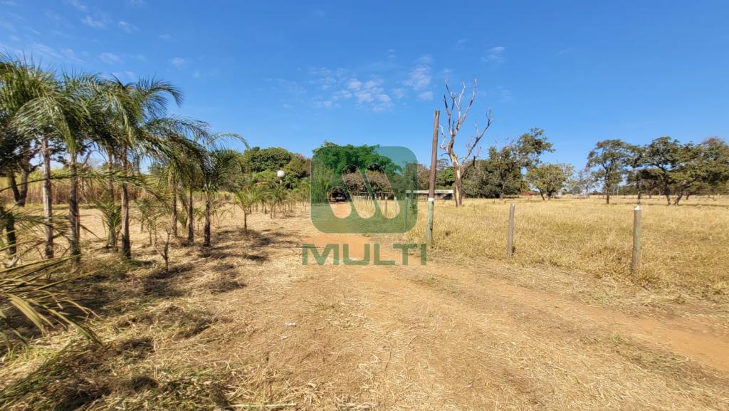 Fazenda à venda com 1 quarto, 10000m² - Foto 5