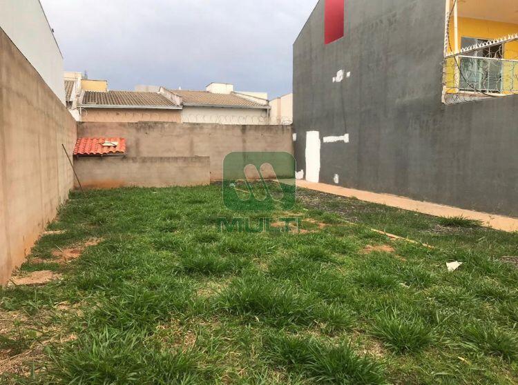 Terreno à venda com 1 quarto, 250m² - Foto 1