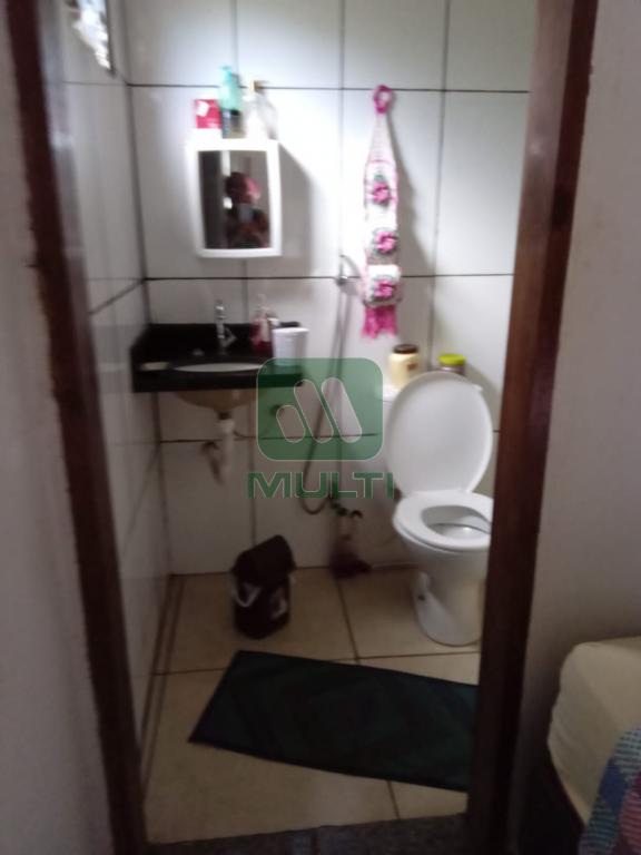 Fazenda à venda com 3 quartos, 100m² - Foto 11