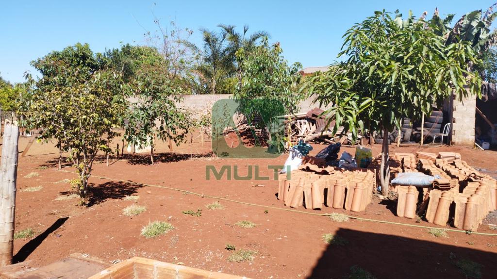 Fazenda à venda com 3 quartos, 100m² - Foto 4